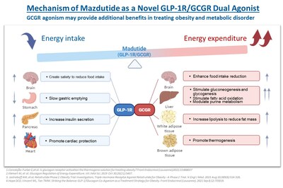 Innovent Dosed First Participant in Phase 3 Clinical Study (GLORY-2) of Mazdutide (IBI362) Higher Dose 9 mg in Chinese Adults with Obesity